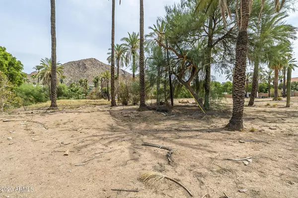Phoenix, AZ 85018,4550 N Rubicon Avenue #1