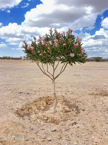 0 S 355th Avenue #1, Tonopah, AZ 85354