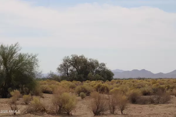 Tonopah, AZ 85354,0 W ROESER Road #-