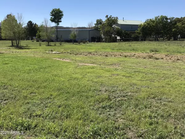 Peeples Valley, AZ 86332,0 S Joseph Hodge Road #40