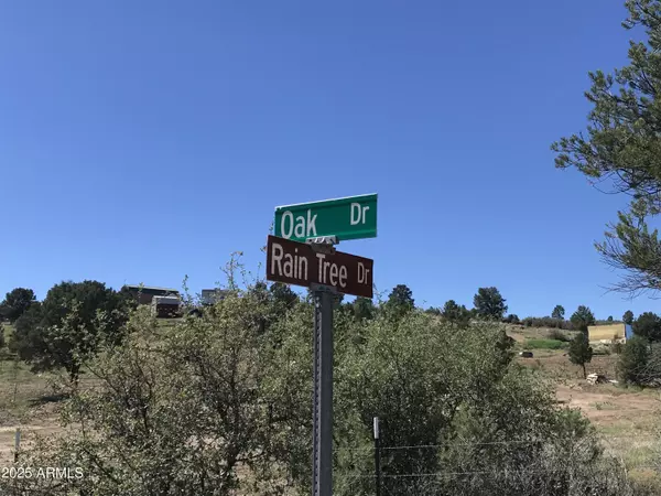 Peeples Valley, AZ 86332,17570 S Oak Drive #95