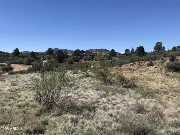 Peeples Valley, AZ 86332,17570 S Oak Drive #95