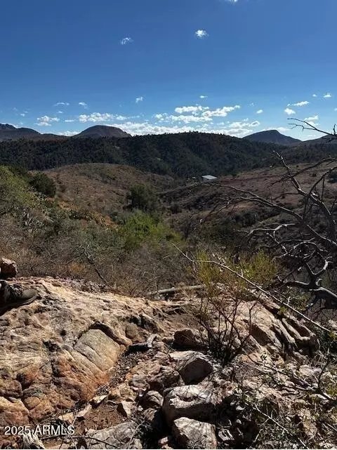 Globe, AZ 85501,10 E Horseshoe Springs Road #2