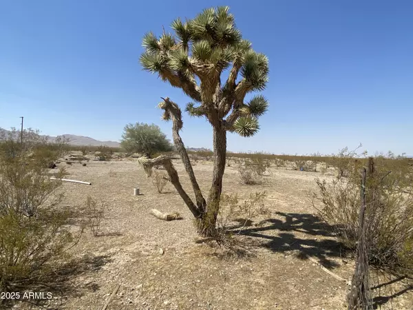 N Phillip (Lot 354) Road #354, Dolan Springs, AZ 86441