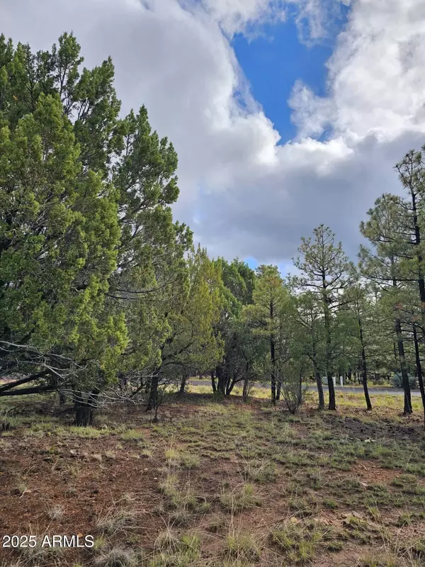 Heber, AZ 85928,1454 LOW MOUNTAIN Trail #118