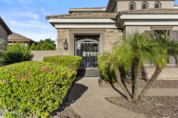 Chandler, AZ 85248,4291 S California Street