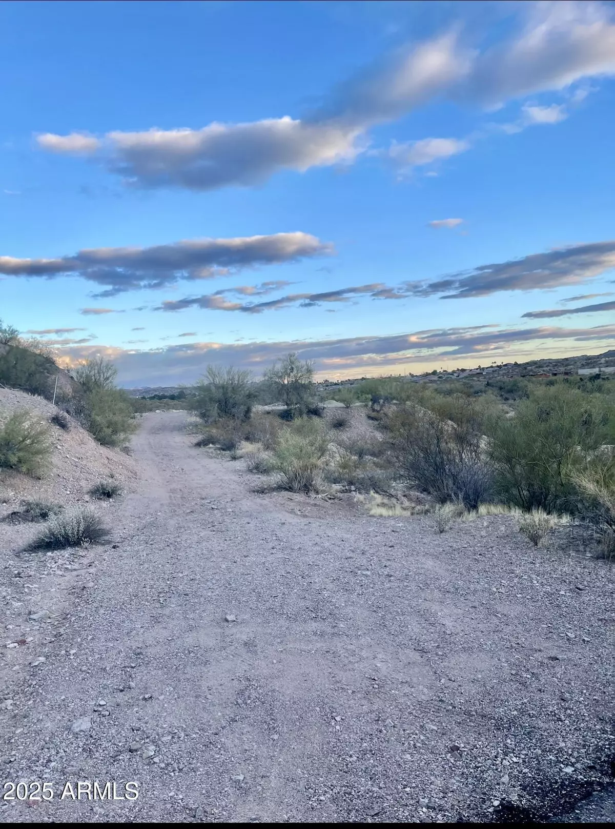 Wickenburg, AZ 85390,1201 Easy (Land) Street #0