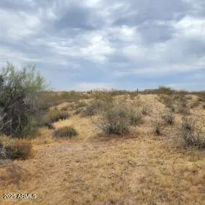 Wittmann, AZ 85361,0 W Lone Mountain Road #139