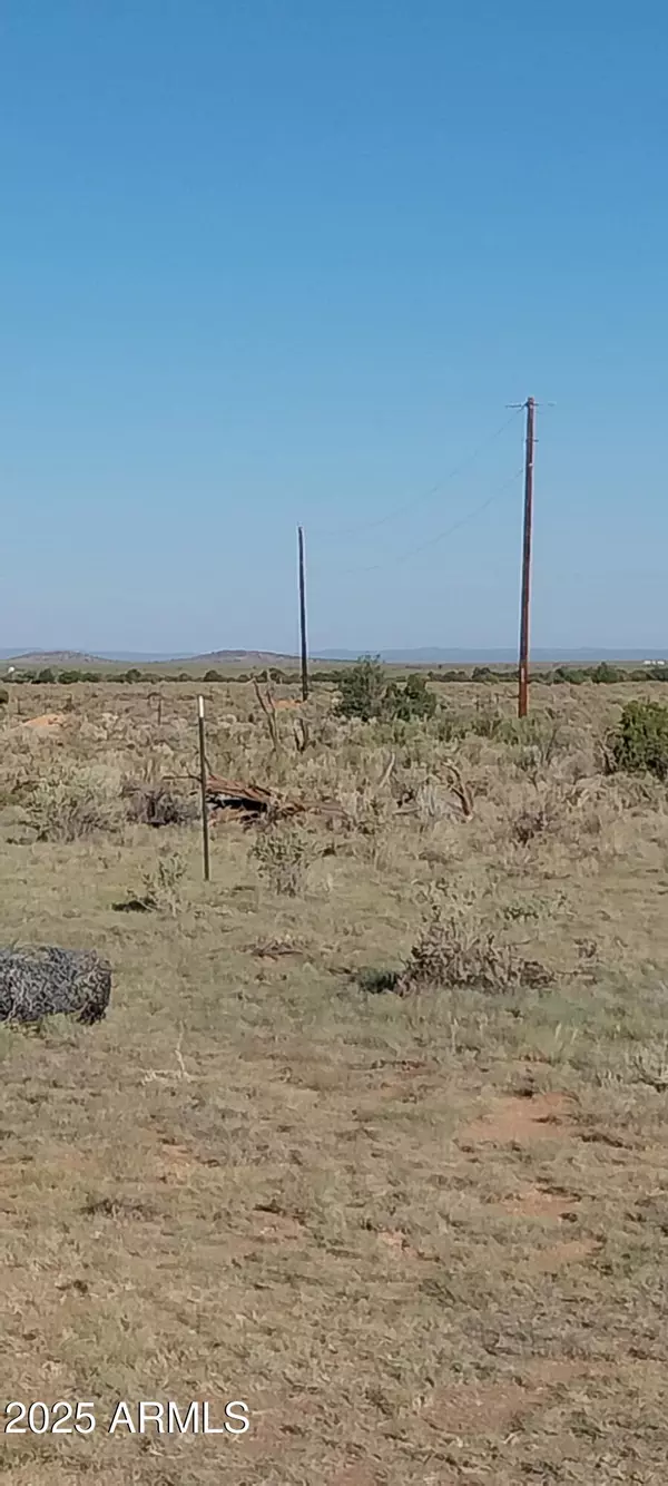 Williams, AZ 86046,4264 S 2ND Avenue #127