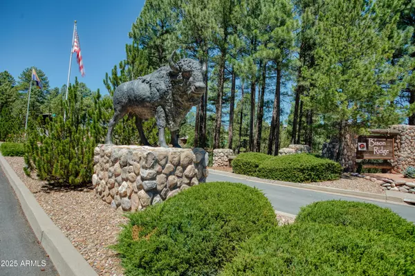 Show Low, AZ 85901,4660 West Tatanka Loop --