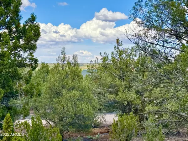 Show Low, AZ 85901,8315 Lone Pine Drive #-
