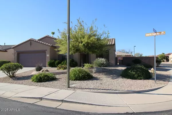 Surprise, AZ 85387,19176 N TAMARISK FLOWER Way