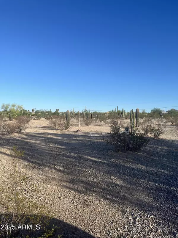 Ajo, AZ 85321,1210 W SCHWARTZ Road #NULL