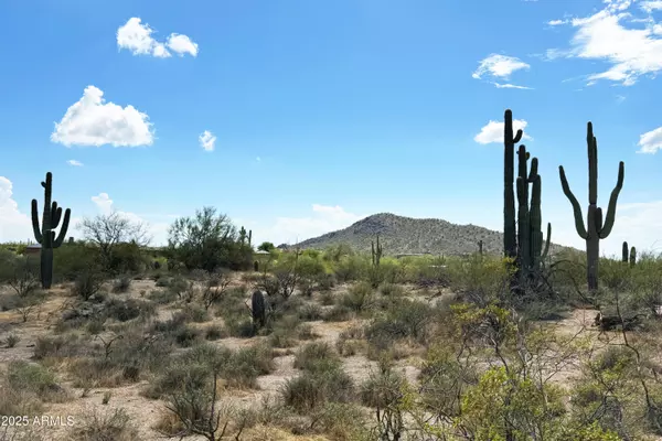 Scottsdale, AZ 85266,31815 N BLACK CROSS Road #28