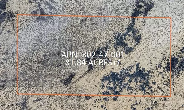 San Simon, AZ 85632,302 E Olga Road #-