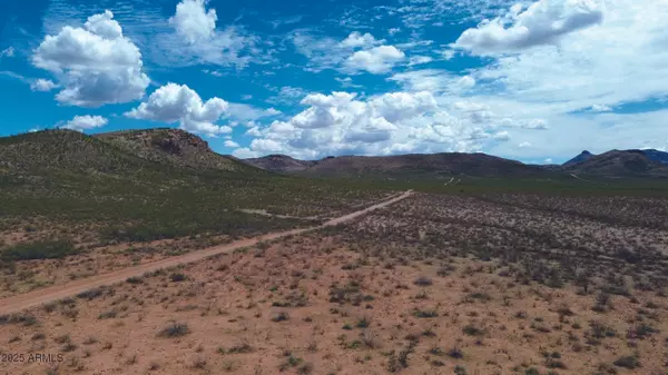 Douglas, AZ 85607,40 E Get Lost Road #0
