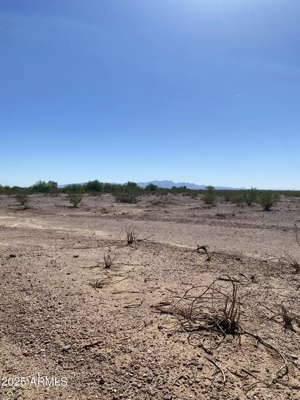 Wittmann, AZ 85361,0 W Lone Mountain Road -- #11