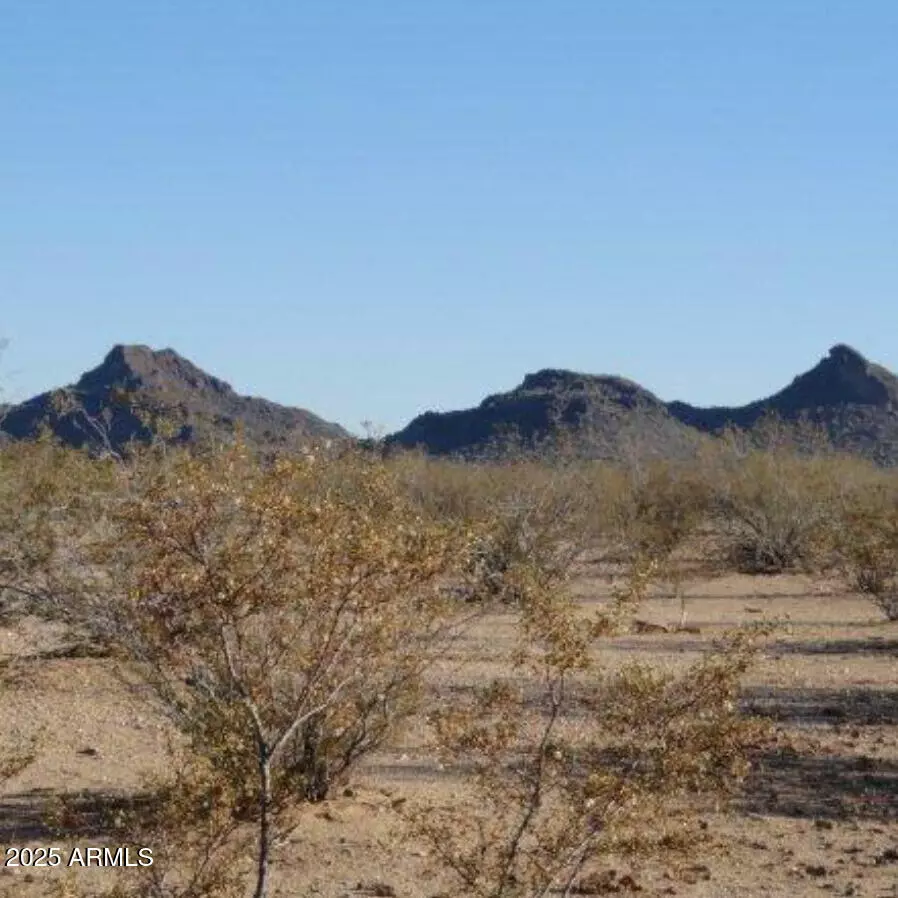 Congress, AZ 85332,W Trezler Road #-