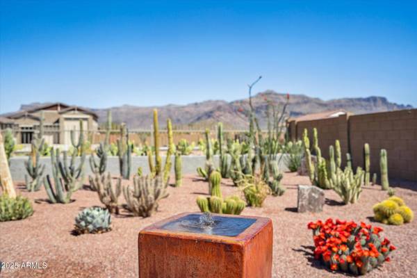 Gold Canyon, AZ 85118,12538 E Pivot Peak --