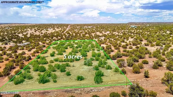 Show Low, AZ 85901,0 Weber Rd Lot #B 5 Acres -- #-