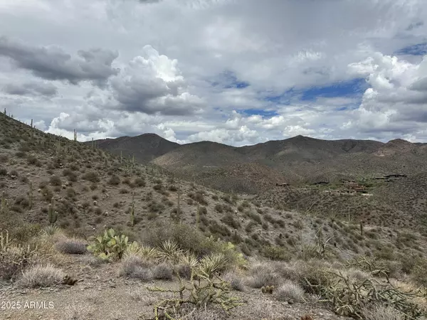 Scottsdale, AZ 85262,9236 E GRAPEVINE Pass #342