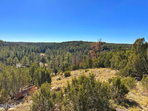 Heber, AZ 85928,1740 ESKIMO Lane #_