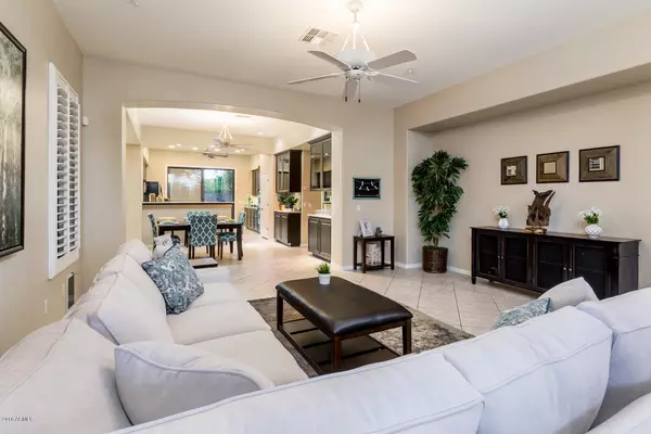 Chandler, AZ 85286,1447 W SWAN Court