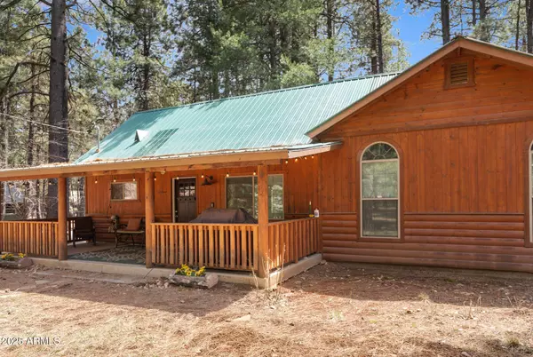 Forest Lakes, AZ 85931,2524 OLD RIM Road