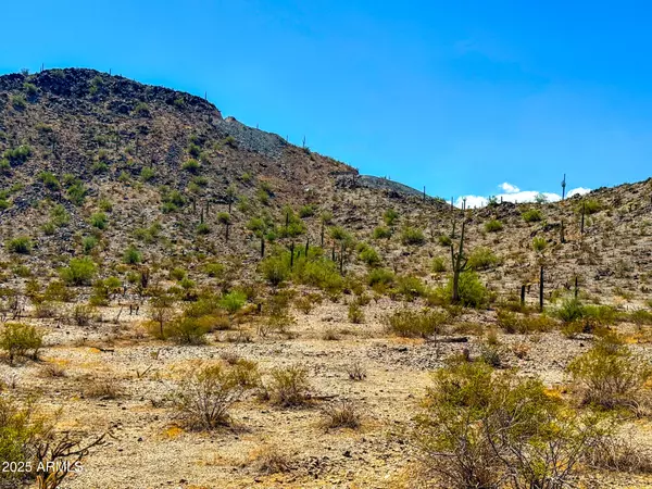 Maricopa, AZ 85139,0 W HILLDALE RD 7.31 ACRES -- #-