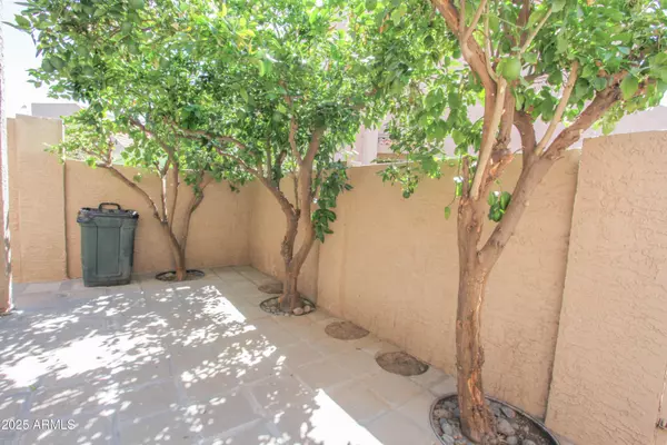 Glendale, AZ 85301,4345 W STATE Avenue