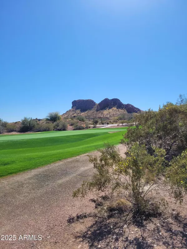 Gold Canyon, AZ 85118,9651 E QUARTER CIRCLE Loop #4
