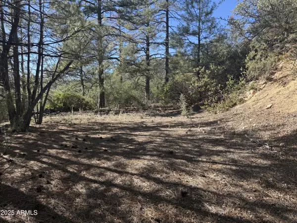 Crown King, AZ 86343,6536 E 90 AND 9 Road #-