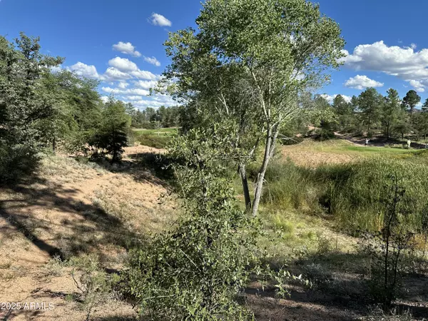 Payson, AZ 85541,506 S PRIMEVAL -- #79
