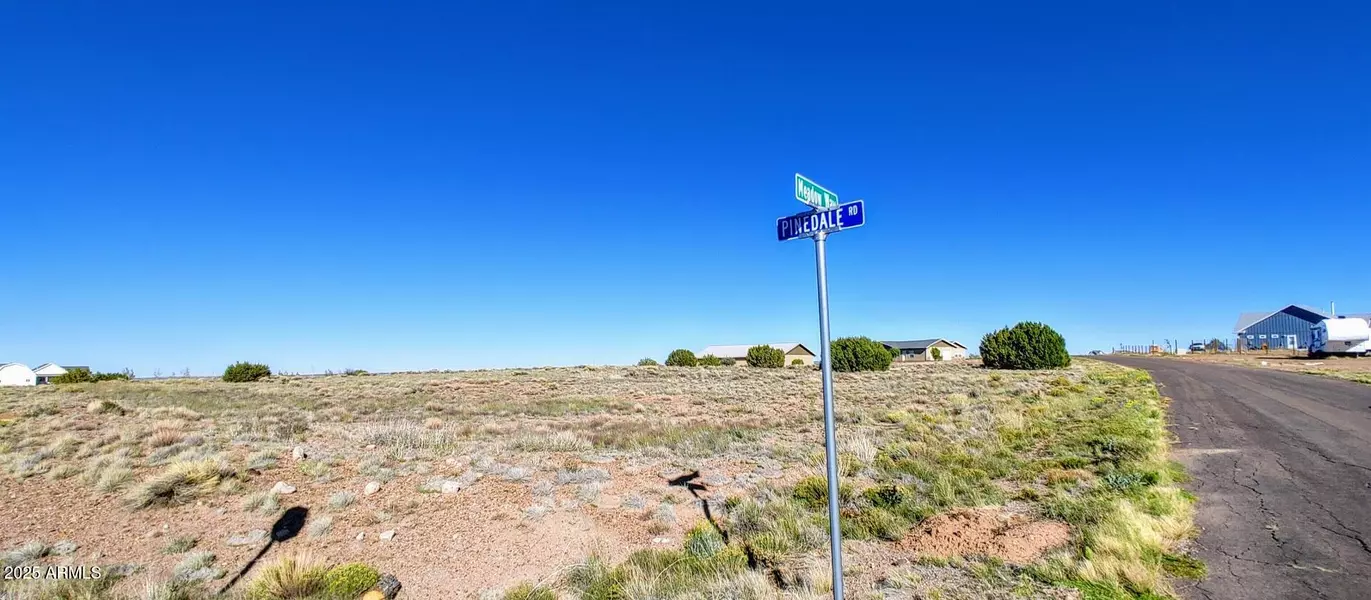 1150 S MEADOW Way #149, Taylor, AZ 85939