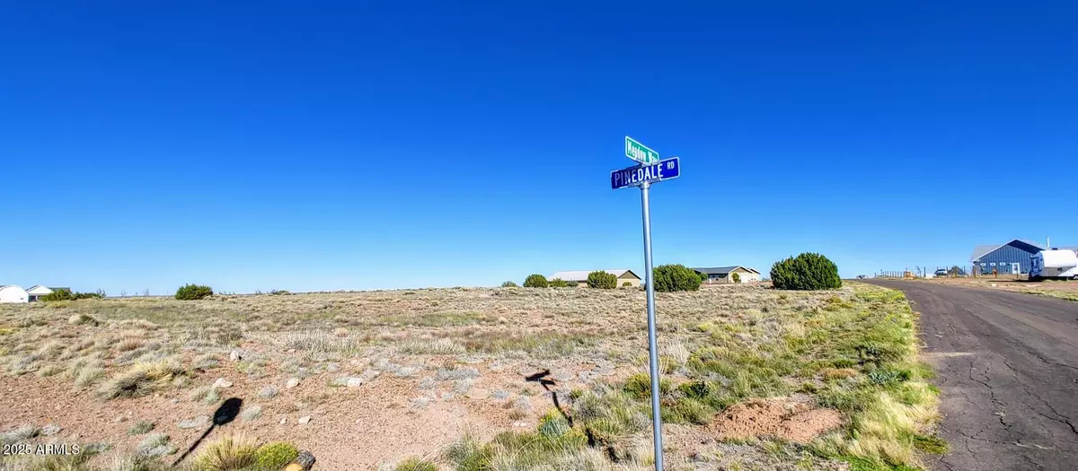 Taylor, AZ 85939,1150 S MEADOW Way #149