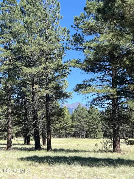 0 Forest Road 193 -- #0, Flagstaff, AZ 86001