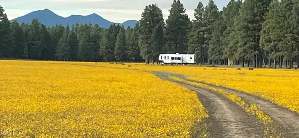 Flagstaff, AZ 86005,E Newman Park Rd -- #2