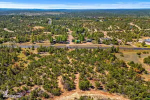 Overgaard, AZ 85933,3654 ZANE GREY Trail #59