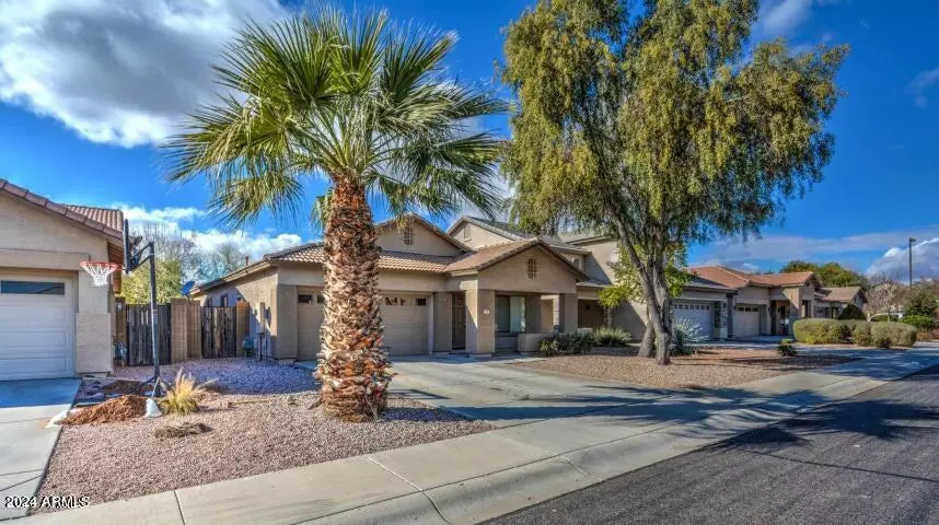 4216 N 125TH Avenue, Litchfield Park, AZ 85340