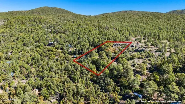 Mormon Lake, AZ 86038,11712 Paradise Dr -- #NW