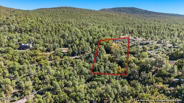 Mormon Lake, AZ 86038,11712 Paradise Dr -- #NW