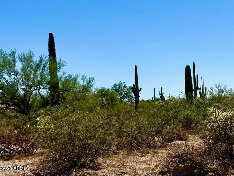 0 N HOHOKAM RD LOT 4 -- #-, Florence, AZ 85132
