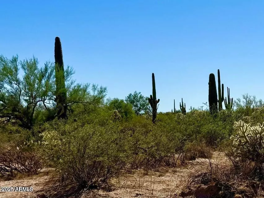 Florence, AZ 85132,0 N HOHOKAM RD LOT 4 -- #-