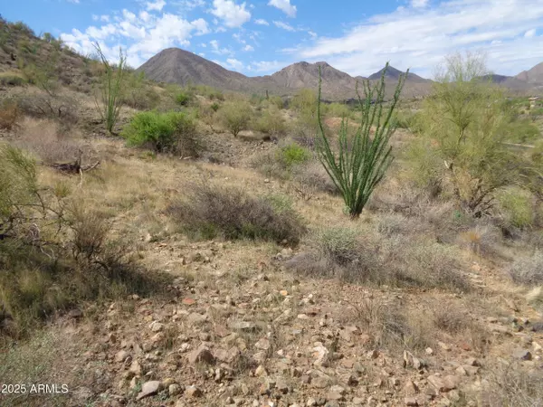 Fountain Hills, AZ 85268,14539 E Prairie Dog Trail #11