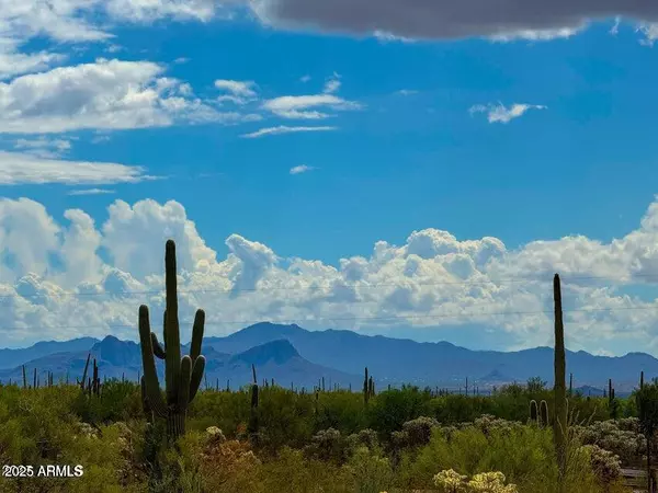 Marana, AZ 85658,0 S Twin Hawk Ln Lot #2  10 Acres -- #-