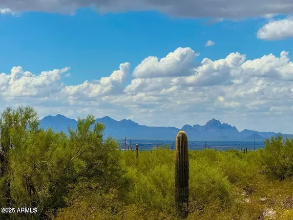0 S Twin Hawk Ln Lot #2  10 Acres -- #-, Marana, AZ 85658