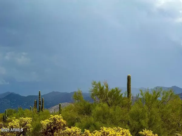 Marana, AZ 85658,0 S Twin Hawk Ln Lot 2  10 Acres -- #-