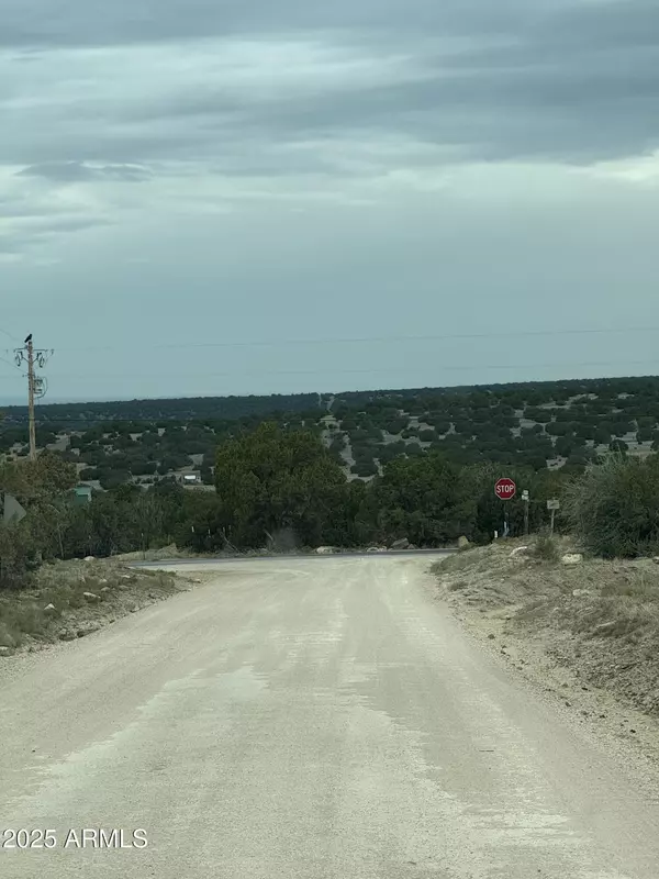 Concho, AZ 85924,55 ACR 8050 -- #14