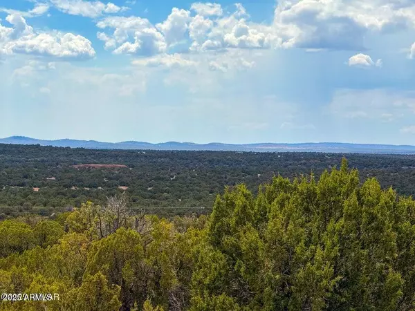 Show Low, AZ 85901,0 W Weber Ln Lots A & B 10 Acres -- #-