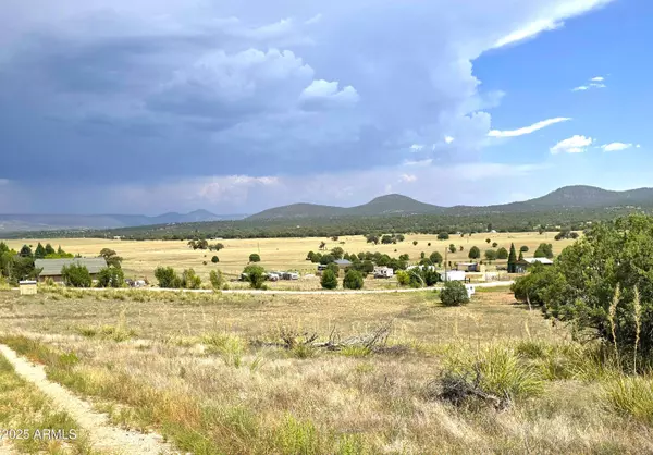 Young, AZ 85554,4103 S Rolling Hills Road #3